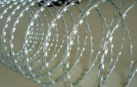 المنتج مقدمة-أسلاك شائكة