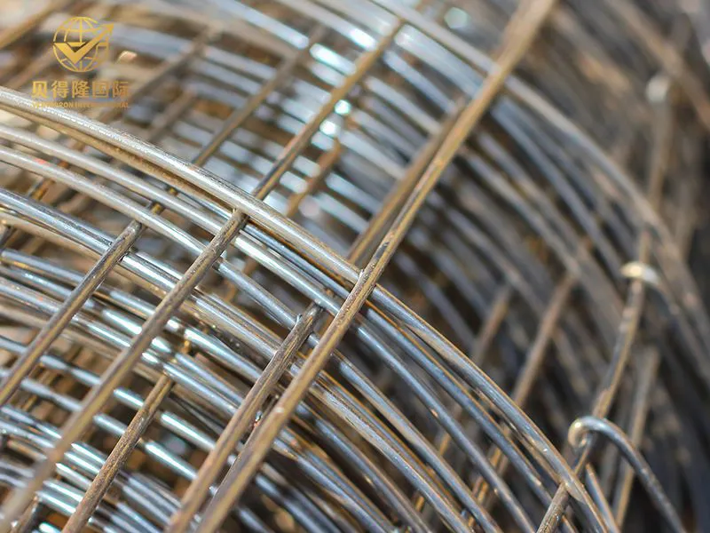 المجلفن ملحومة شبكة لفة