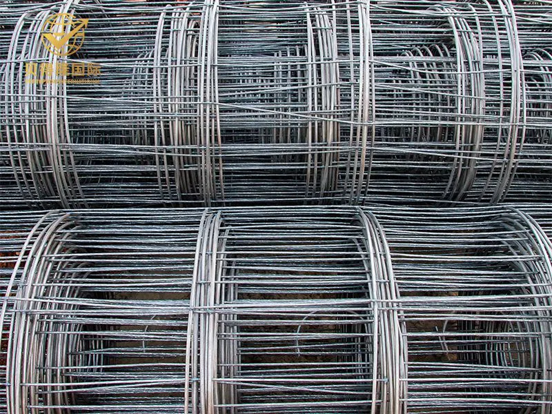 المجلفن ملحومة شبكة لفة