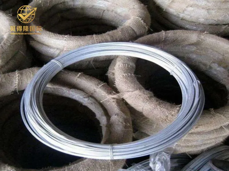 الأسلاك المجلفنة الكهربائية