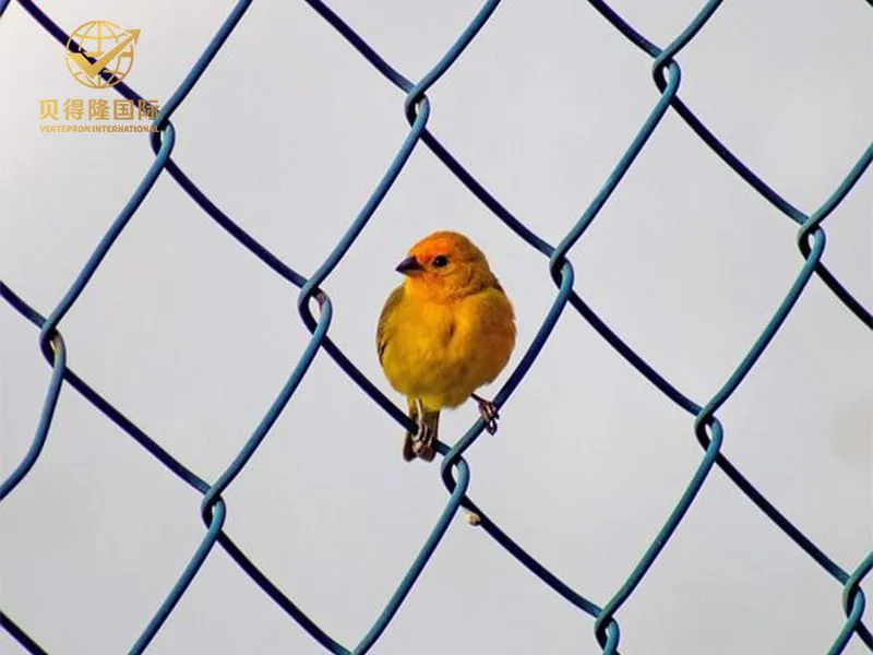 سلسلة ربط السور