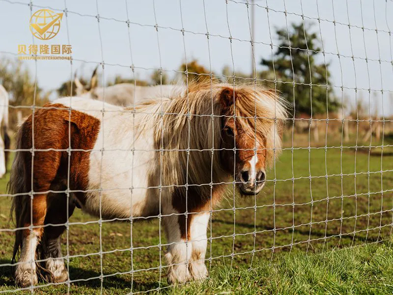 سياج الخيول