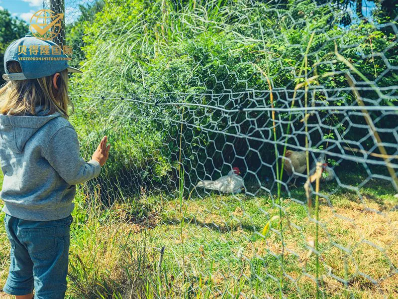 سياج الدواجن