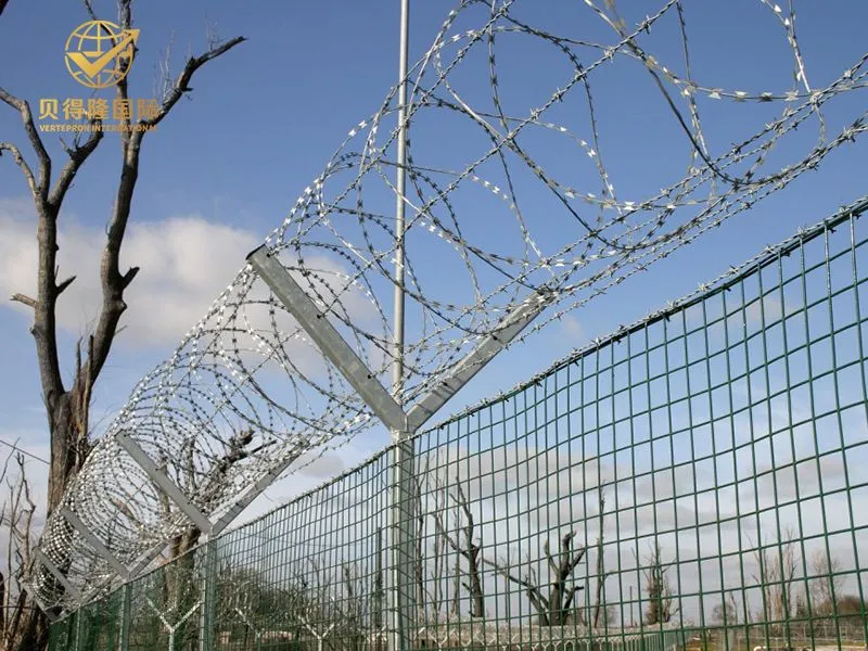 الأسلاك الشائكة كونسرتينا