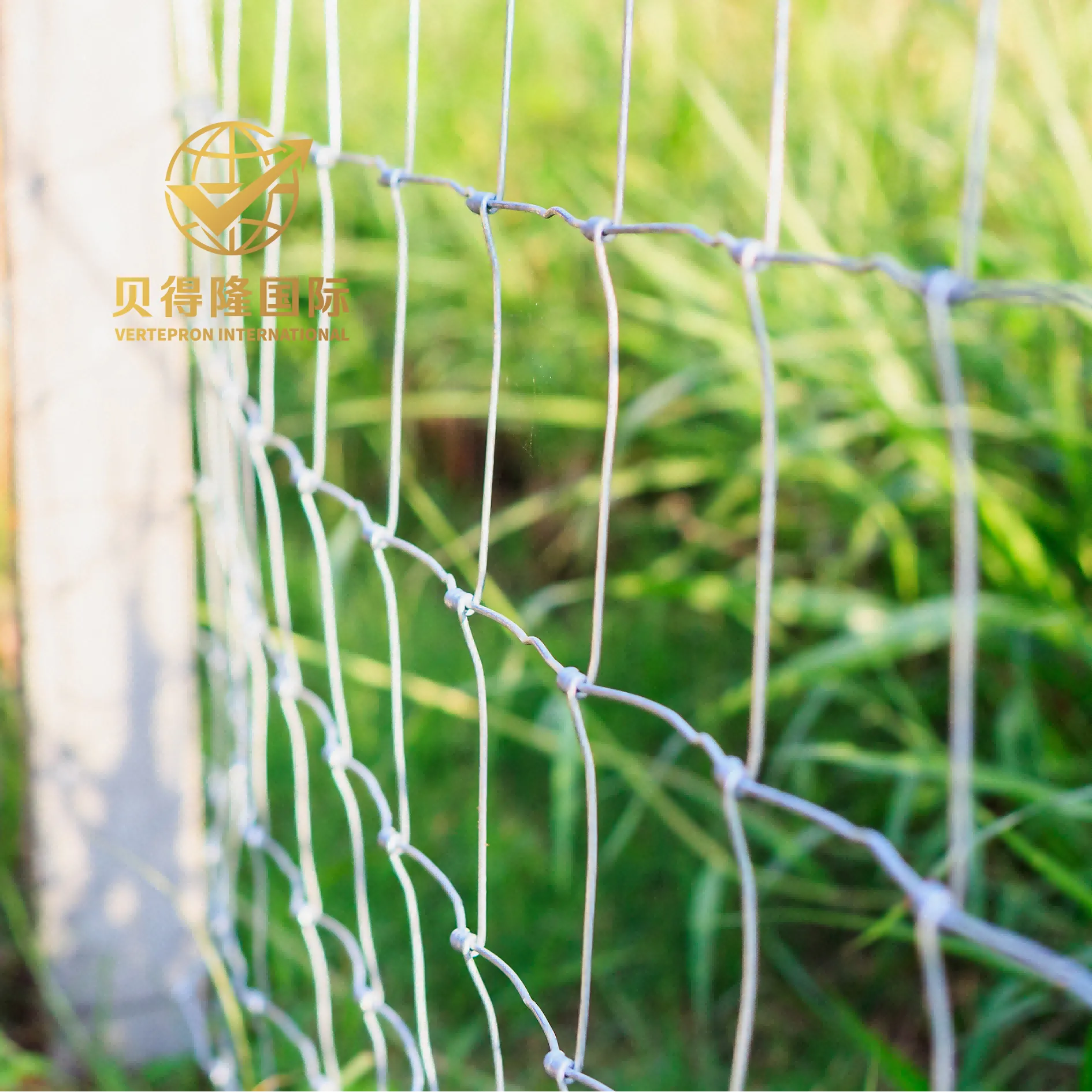 الأغنام والماعز السياج