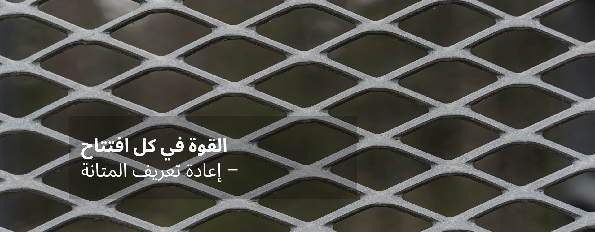 شبكة معدنية موسعة